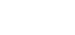 Banda Turbo