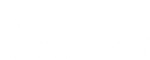 Termovale